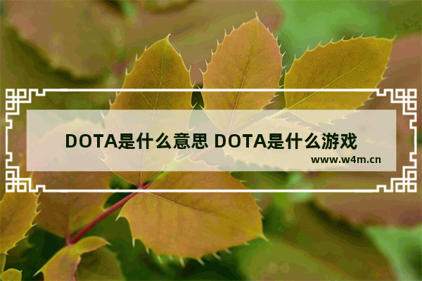 DOTA是什么意思 DOTA是什么游戏