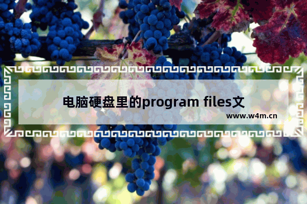 电脑硬盘里的program files文件夹是什么意思