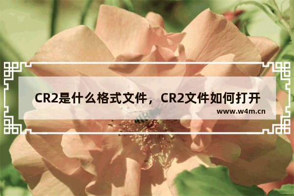 CR2是什么格式文件，CR2文件如何打开