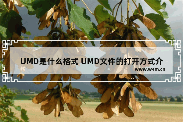 UMD是什么格式 UMD文件的打开方式介绍