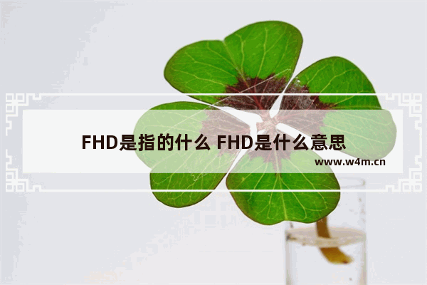 FHD是指的什么 FHD是什么意思