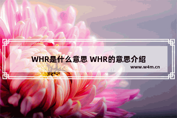 WHR是什么意思 WHR的意思介绍