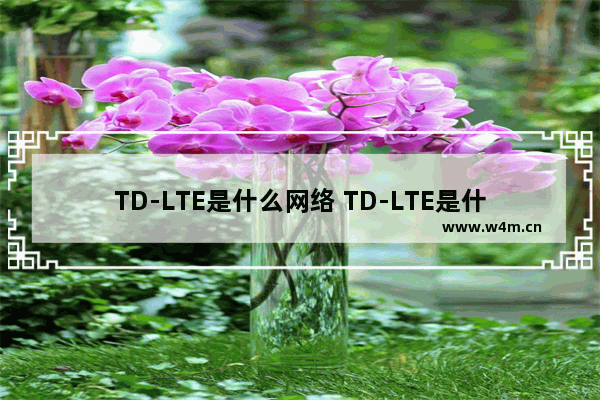 TD-LTE是什么网络 TD-LTE是什么意思？