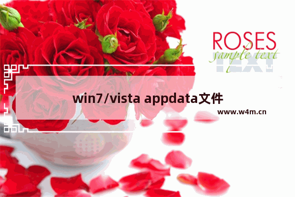 win7/vista appdata文件夹是什么东西 可以删除吗