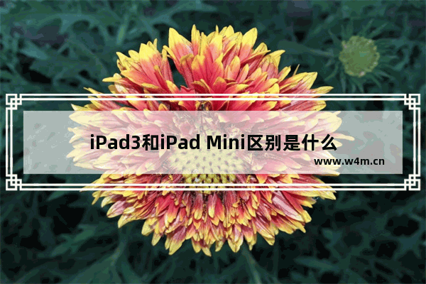 iPad3和iPad Mini区别是什么