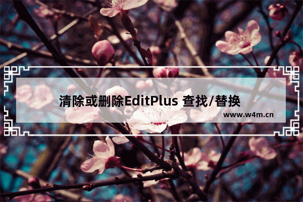 清除或删除EditPlus 查找/替换 搜索中的历史记录的方法