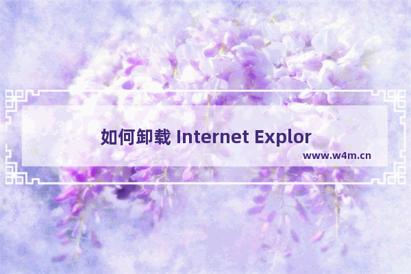 如何卸载 Internet Explorer 9 图文