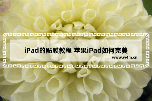 iPad的贴膜教程 苹果iPad如何完美贴膜教程