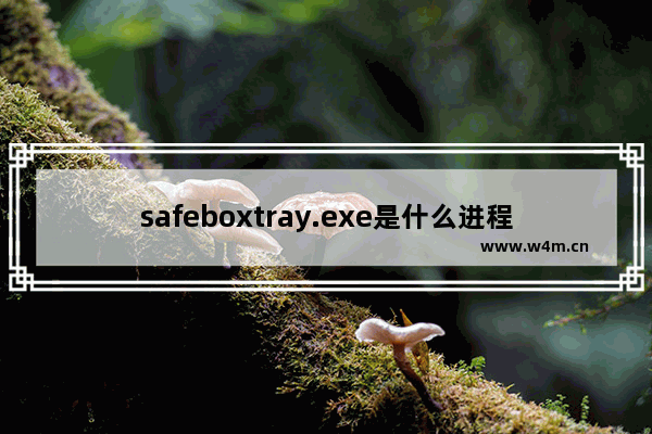 safeboxtray.exe是什么进程