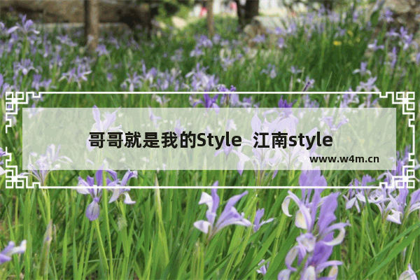 哥哥就是我的Style  江南style女版