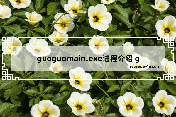 guoguomain.exe进程介绍 guoguomain.exe是什么进程