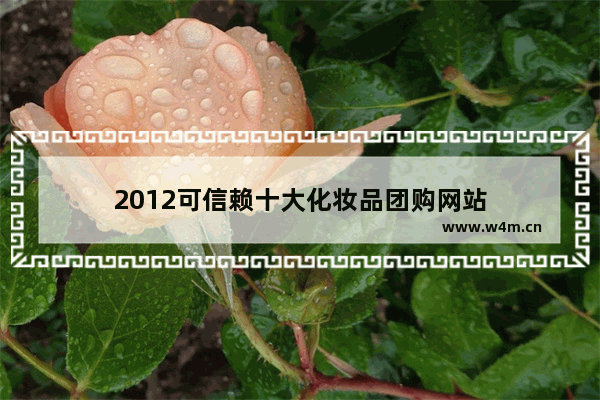 2012可信赖十大化妆品团购网站