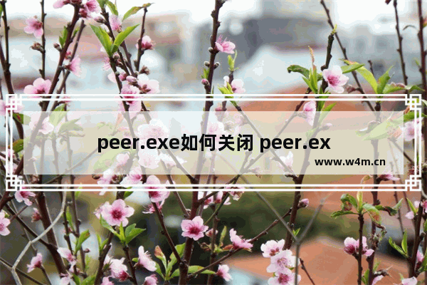 peer.exe如何关闭 peer.exe是什么进程