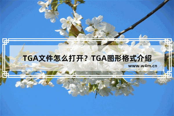 TGA文件怎么打开？TGA图形格式介绍