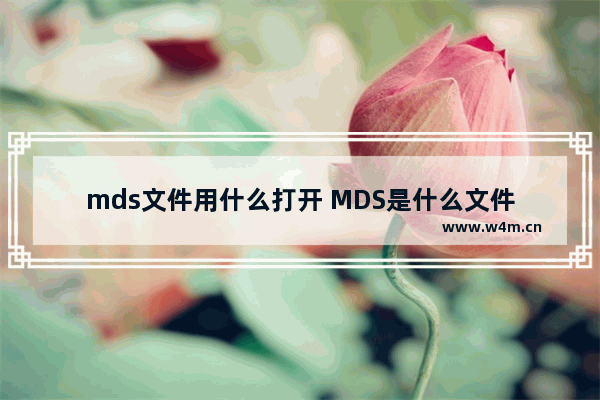 mds文件用什么打开 MDS是什么文件