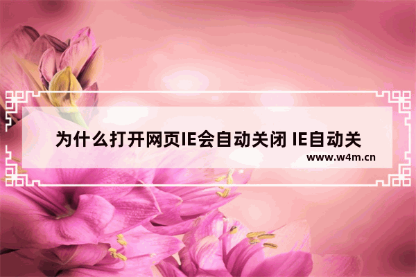 为什么打开网页IE会自动关闭 IE自动关闭的解决方法