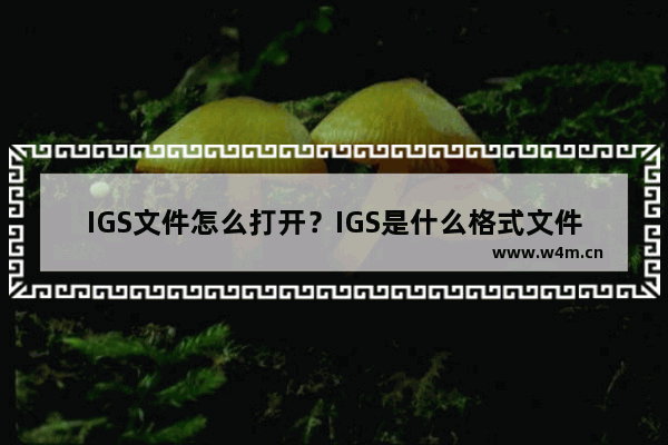 IGS文件怎么打开？IGS是什么格式文件？