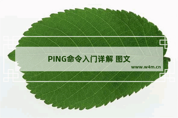 PING命令入门详解 图文