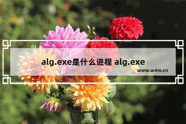 alg.exe是什么进程 alg.exe进程的讲解