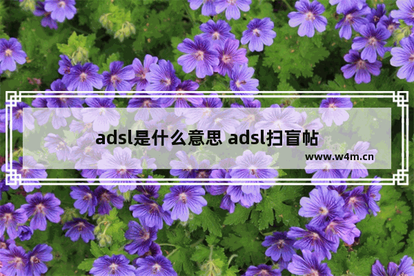 adsl是什么意思 adsl扫盲帖