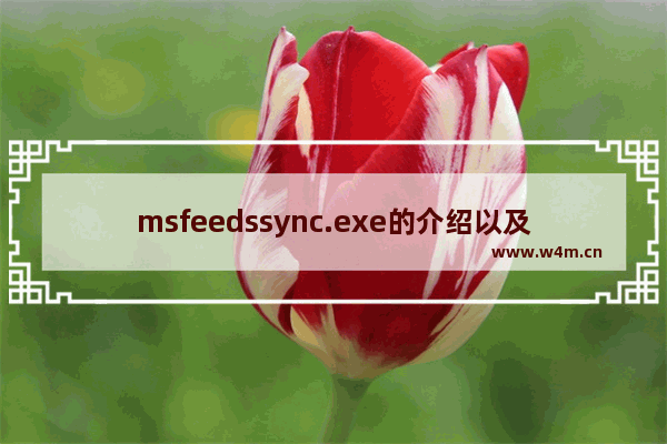 msfeedssync.exe的介绍以及关闭的方法