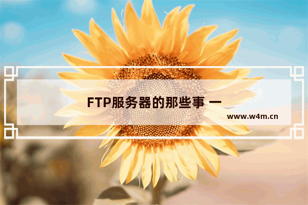 FTP服务器的那些事 一