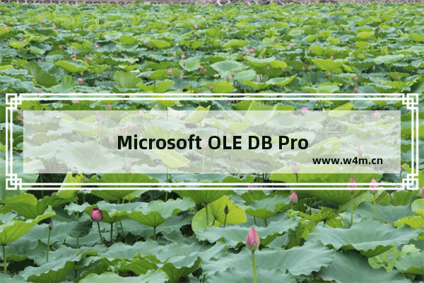 Microsoft OLE DB Provider for ODBC Drivers 错误 '80040e21'