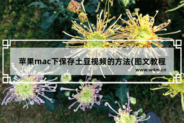 苹果mac下保存土豆视频的方法(图文教程)