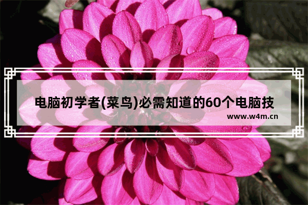 电脑初学者(菜鸟)必需知道的60个电脑技巧