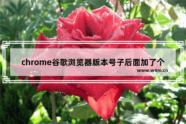 chrome谷歌浏览器版本号子后面加了个M是什么意思