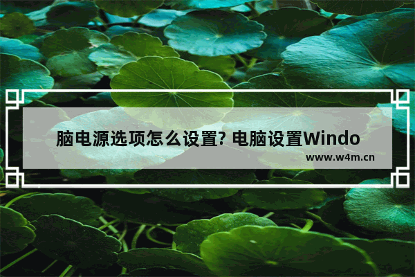 脑电源选项怎么设置? 电脑设置Windows的电源选项的教程