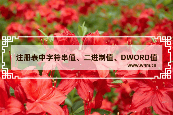 注册表中字符串值、二进制值、DWORD值区别介绍