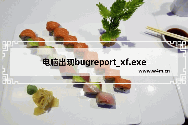 电脑出现bugreport_xf.exe系统错误该怎么办?