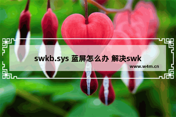 swkb.sys 蓝屏怎么办 解决swkb.sys蓝屏故障