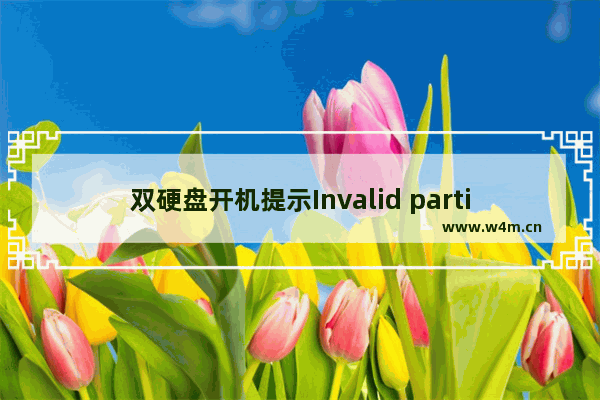 双硬盘开机提示Invalid partition table问题的原因分析及解决方法图解