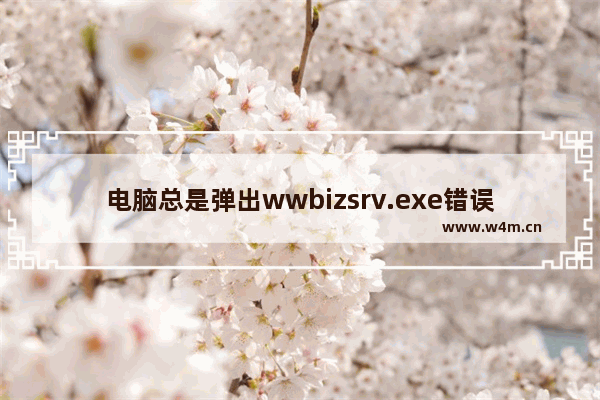 电脑总是弹出wwbizsrv.exe错误怎么办？电脑弹出wwbizsrv.exe应用程序错误的解决方法