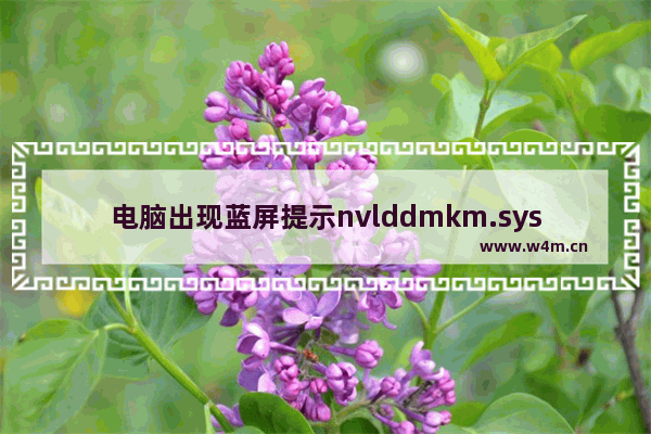 电脑出现蓝屏提示nvlddmkm.sys错误的故障原因及解决方法