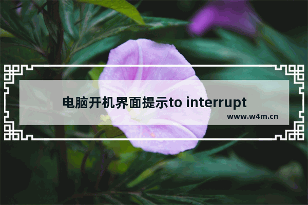 电脑开机界面提示to interrupt normal startup怎么办?