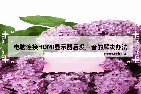 电脑连接HDMI显示器后没声音的解决办法