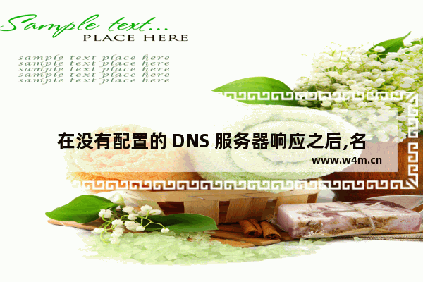 在没有配置的 DNS 服务器响应之后,名称域名的名称解析超时问题的解决方法