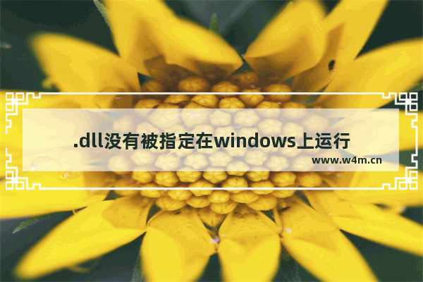 .dll没有被指定在windows上运行该怎么办?