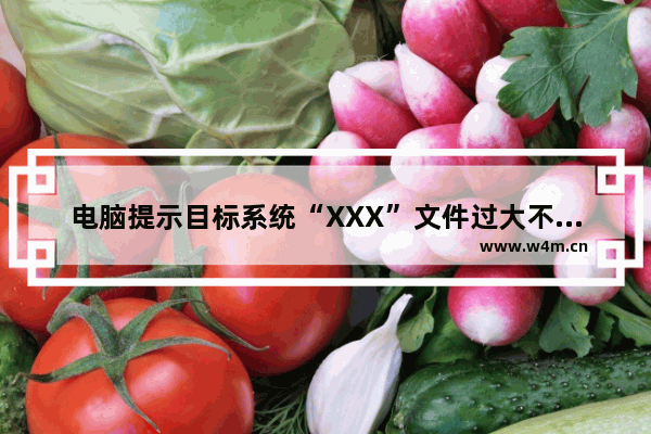 电脑提示目标系统“XXX”文件过大不能操作怎么办？