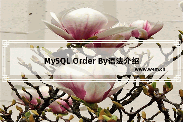 MySQL Order By语法介绍