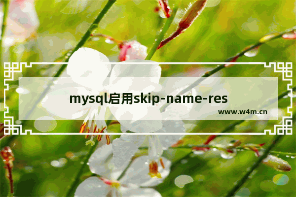 mysql启用skip-name-resolve模式时出现Warning的处理办法