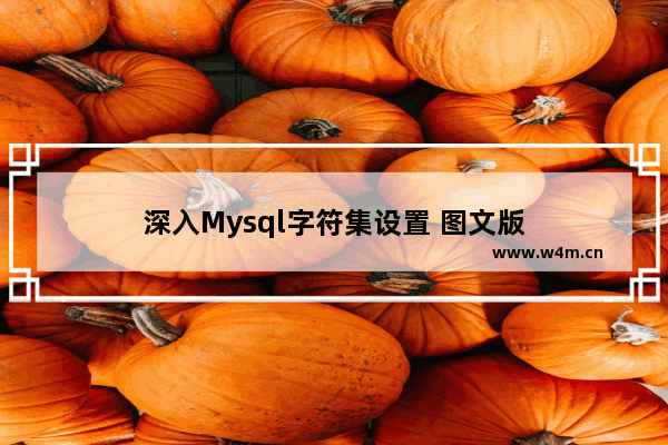 深入Mysql字符集设置 图文版