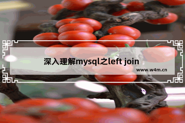 深入理解mysql之left join 使用详解