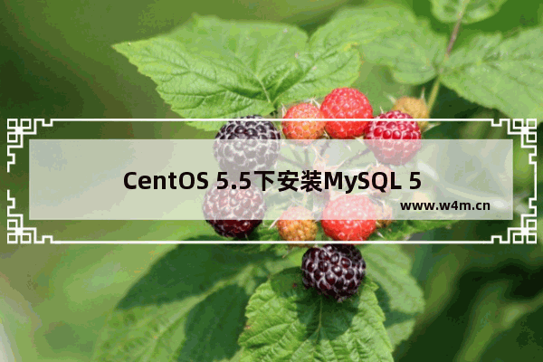 CentOS 5.5下安装MySQL 5.5全过程分享