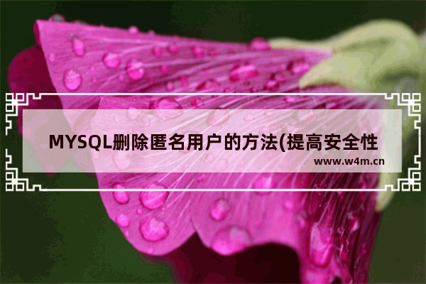 MYSQL删除匿名用户的方法(提高安全性)