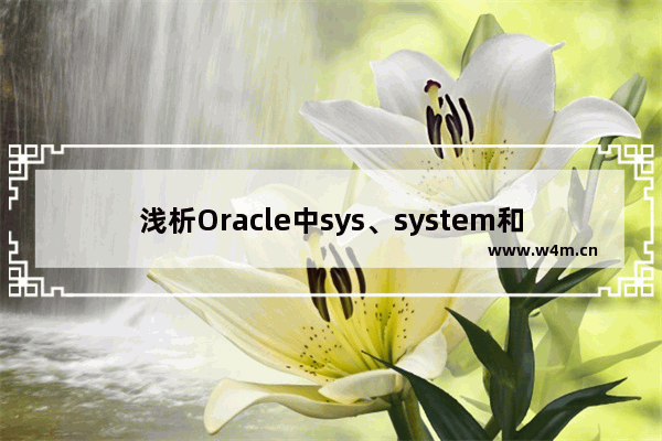 浅析Oracle中sys、system和Scott用户下的数据库连接问题