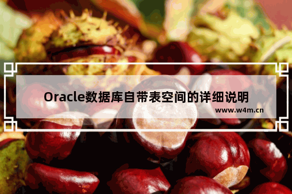 Oracle数据库自带表空间的详细说明